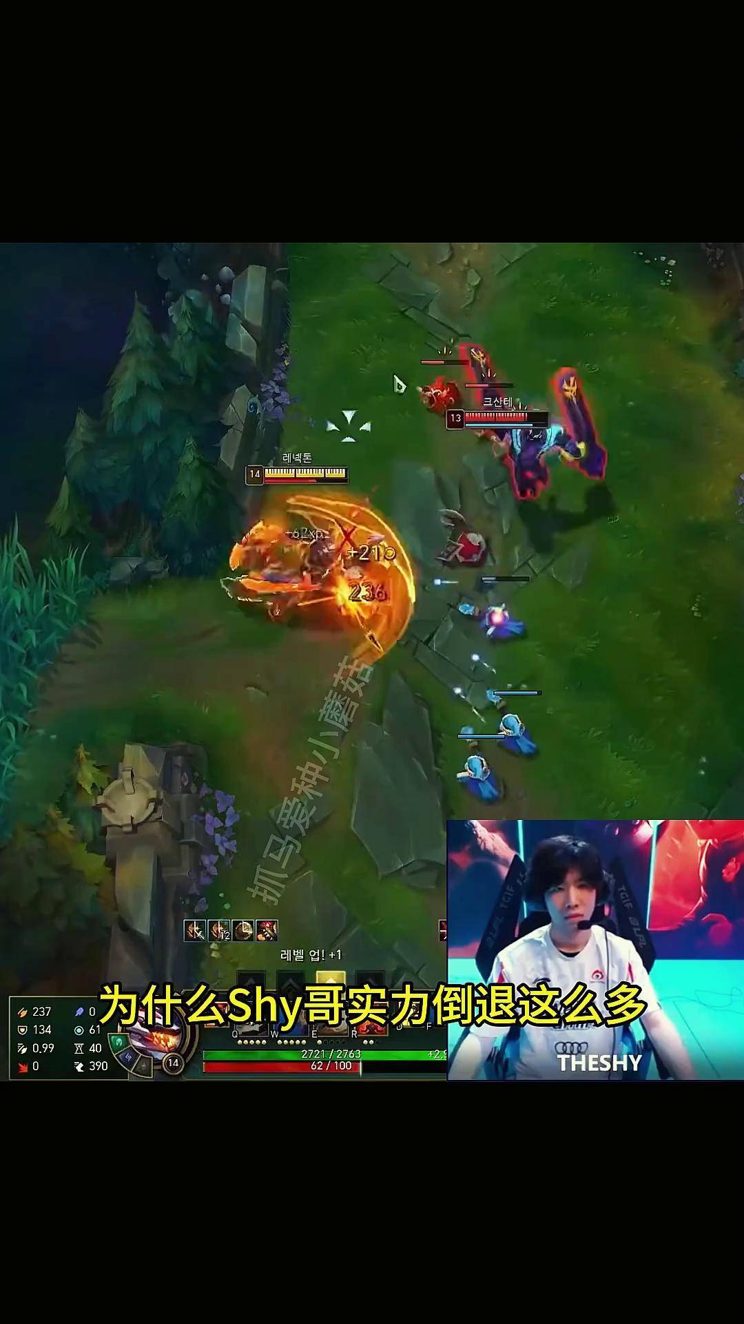 关于TheShy与60激战德国队分钟，败北胜负难料！，科维托娃焦点对战比赛高潮迭起的信息