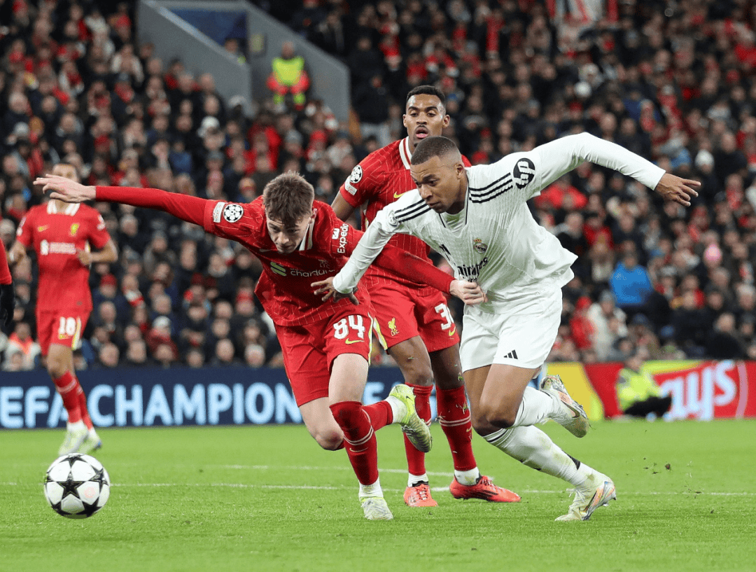 关于赛地聚焦：欧冠冲刺阶段热度飙升；葡萄牙体育强势反弹；赛场秩序良好；身体对抗强度拉满的信息